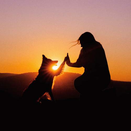 Photo #12493116