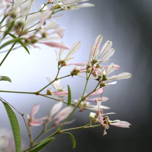 Фотография #12493176