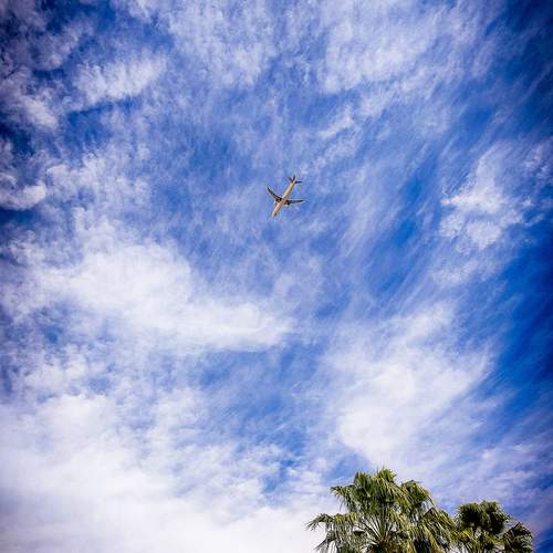 Photo #12493384