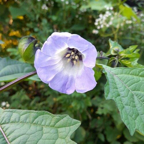 Photo #12493397