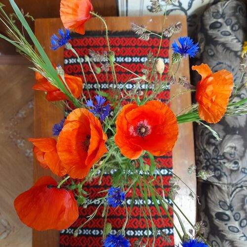 Photo #12493411