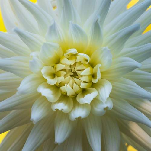 Photo #12493605