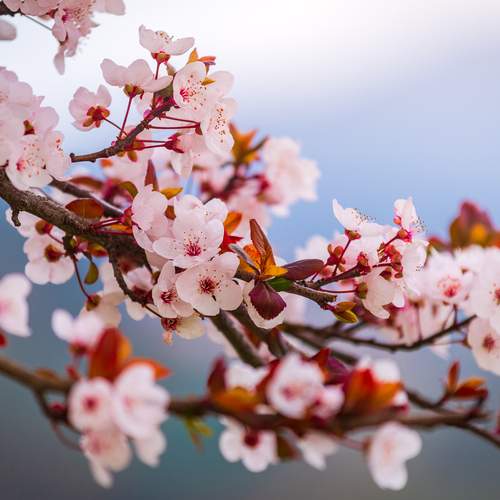 Photo #12493612