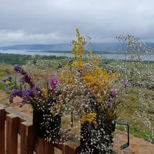 Photo #12493665