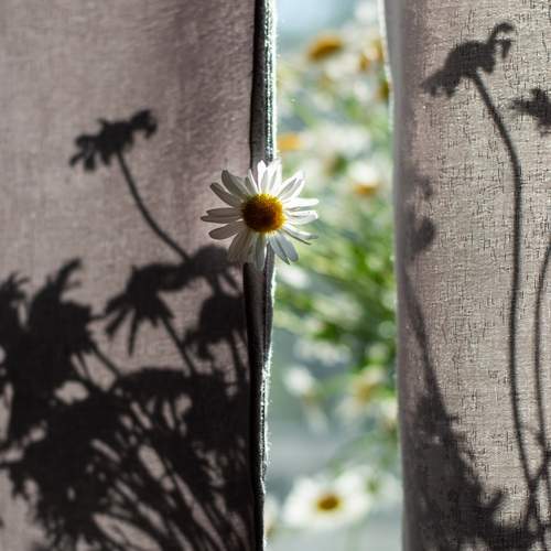 Photo #12493757