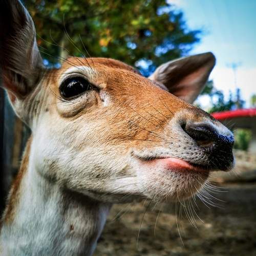 Photo #12493790