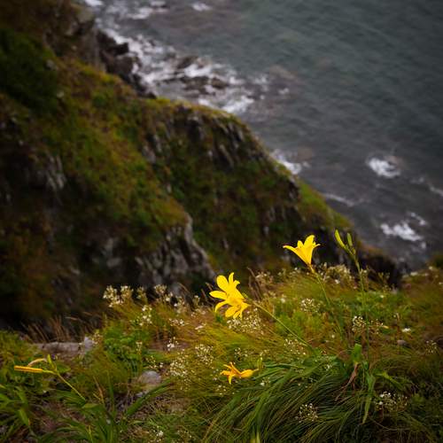 Photo #12493864