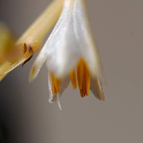 Photo #12493870