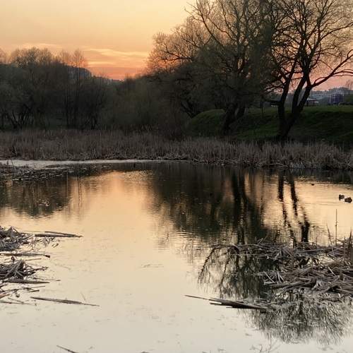 Photo #12494026