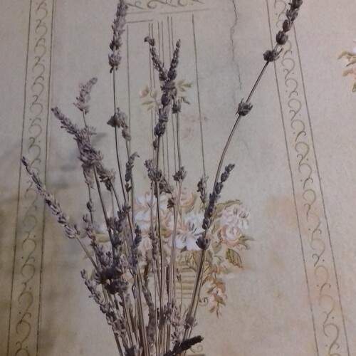 Photo #12494385