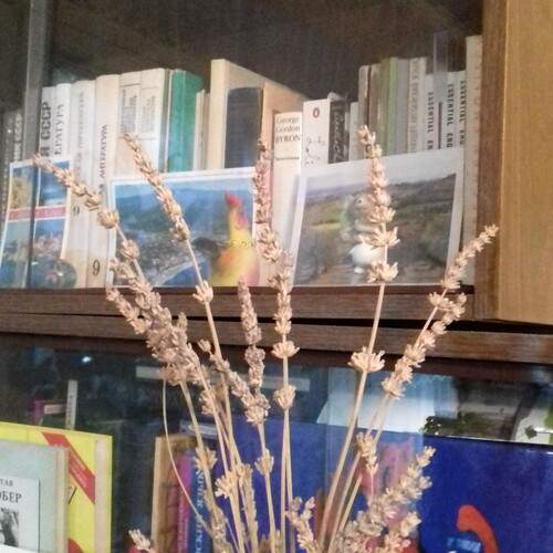Photo #12494386