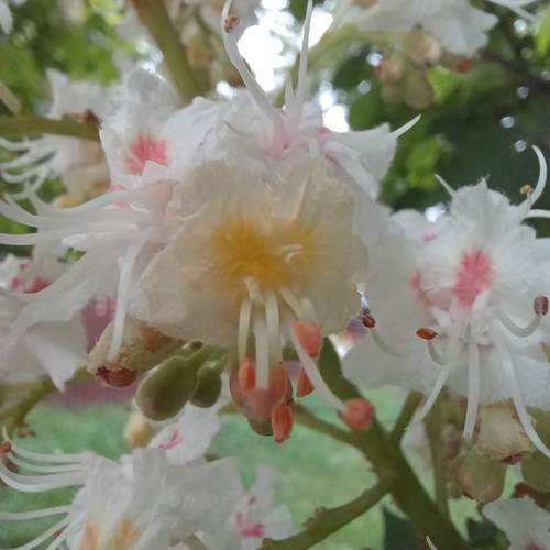Photo #12494389