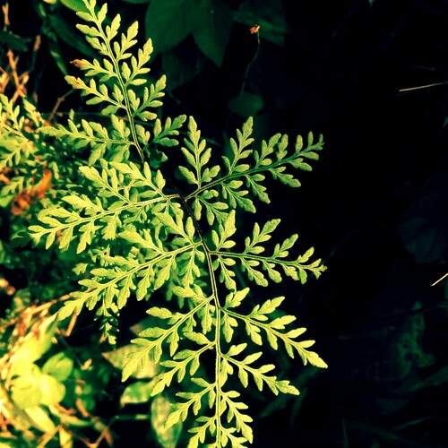 Photo #12494423