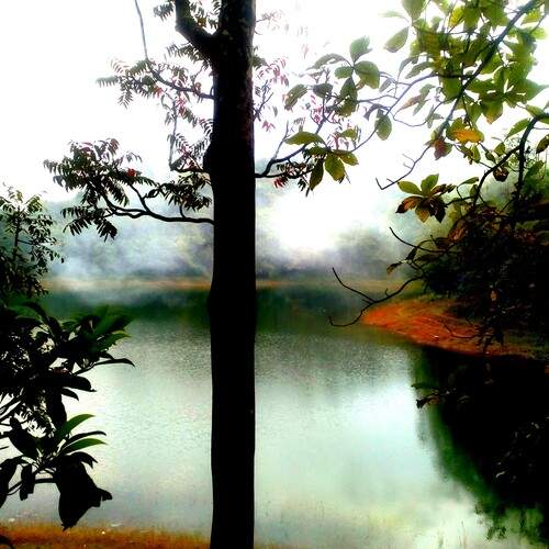 Photo #12494424
