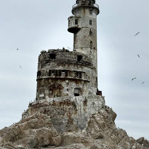 Photo #12494458