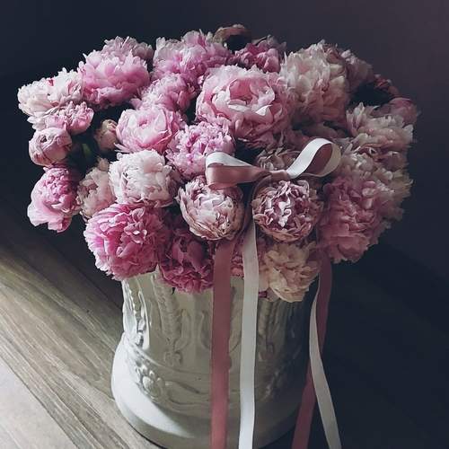 Photo #12494692