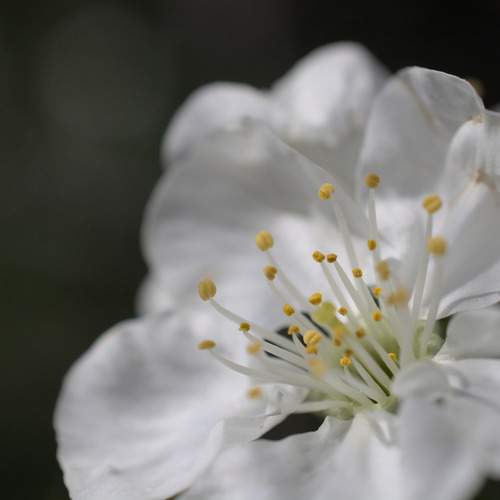Photo #12494714