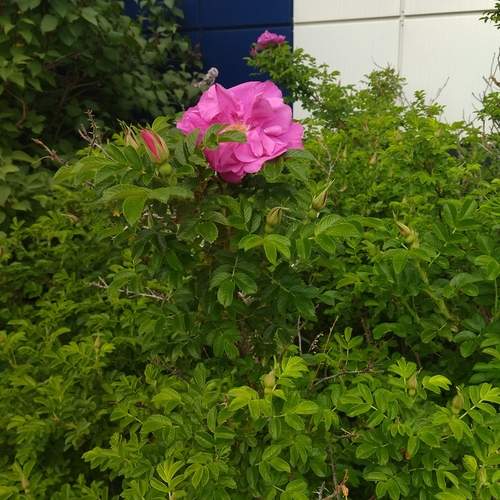 Photo #12494876