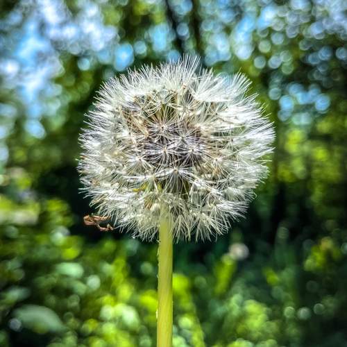 Photo #12494881