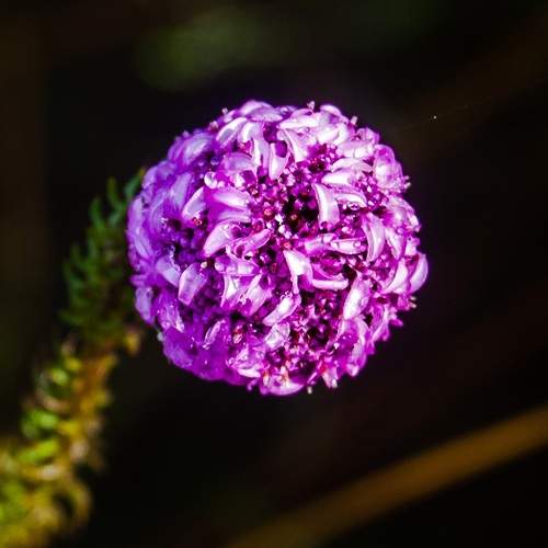 Photo #12494899