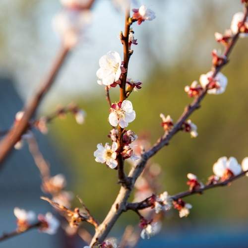 Photo #12495086