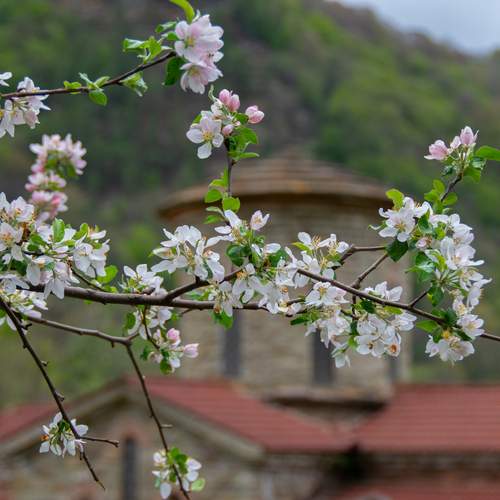 Photo #12495090