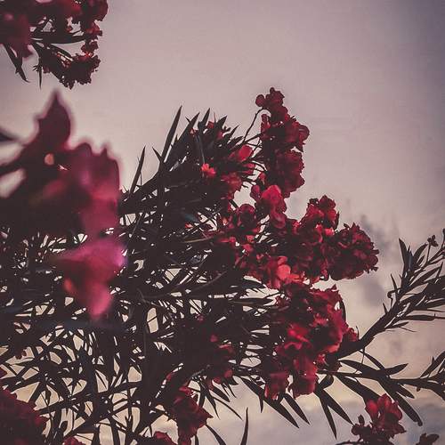 Photo #12495168