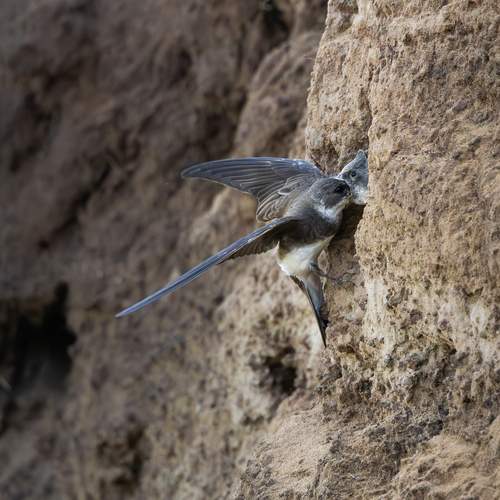 Photo #12495276