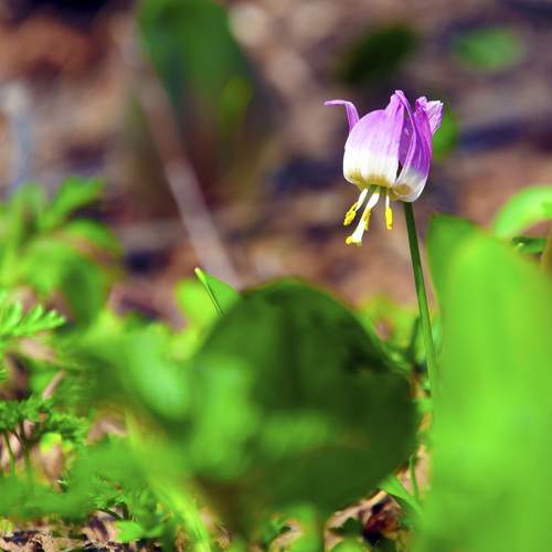 Photo #12495428