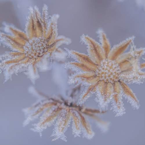 Photo #12495445