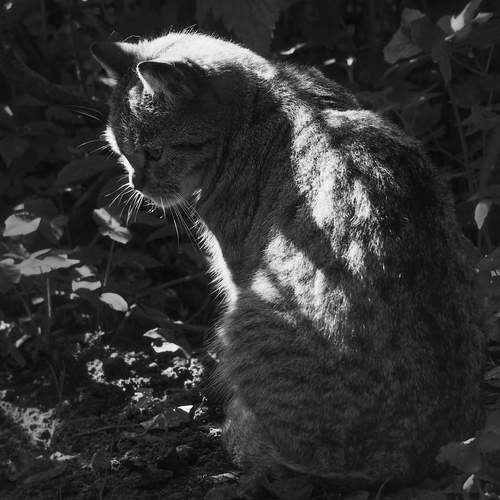 Photo #12495580