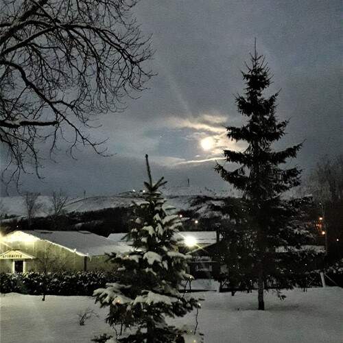 Photo #12495582