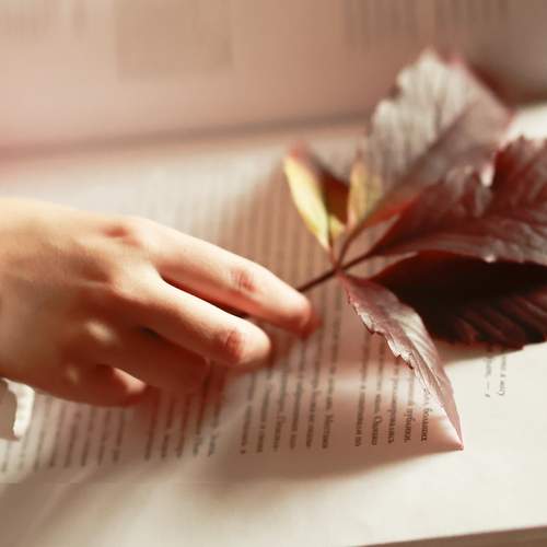 Photo #12495715