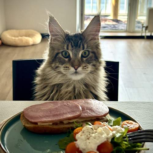 Photo #12495858