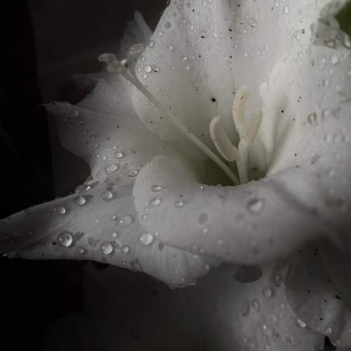 Photo #12495873
