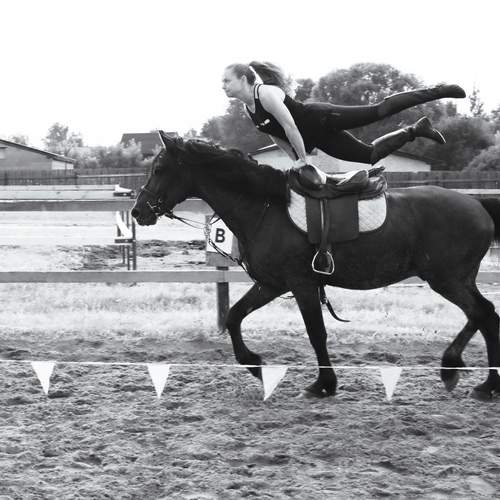 Photo #12495883