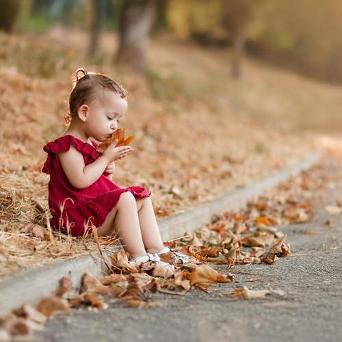 Photo #12495889