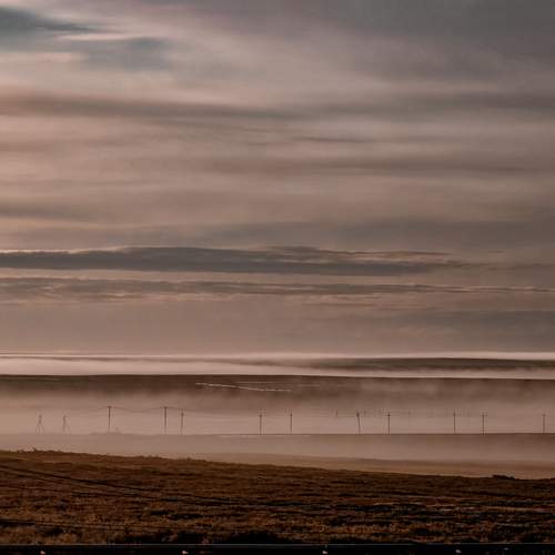 Photo #12495942
