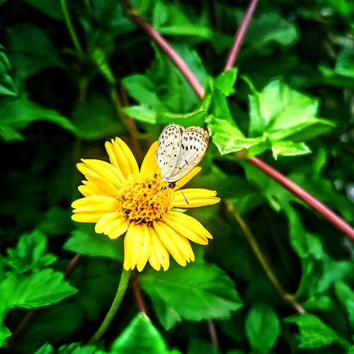 Photo #12496010