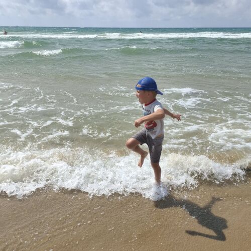 Photo #12496139