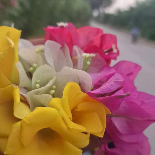 Photo #12496163
