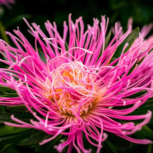 Photo #12496242