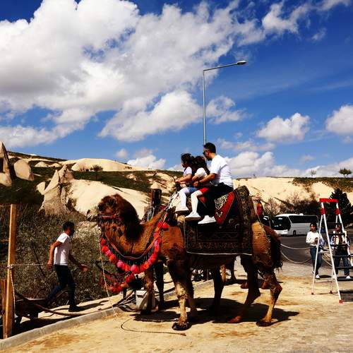 Photo #12496249