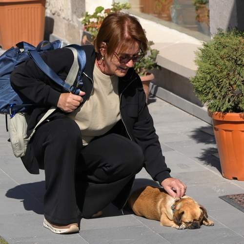 Photo #12496254
