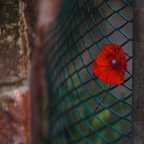Photo #12496358