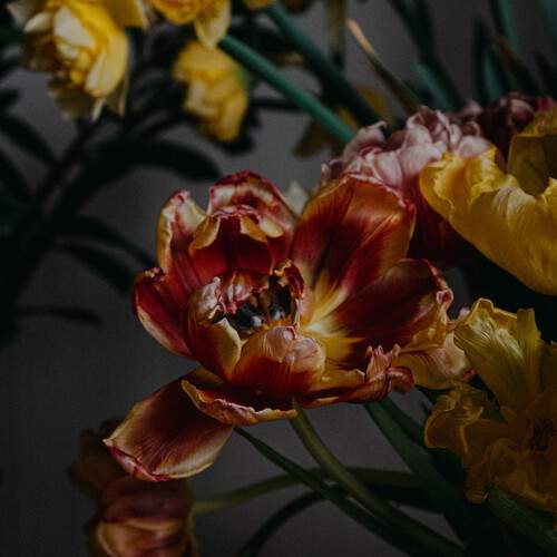 Photo #12496387