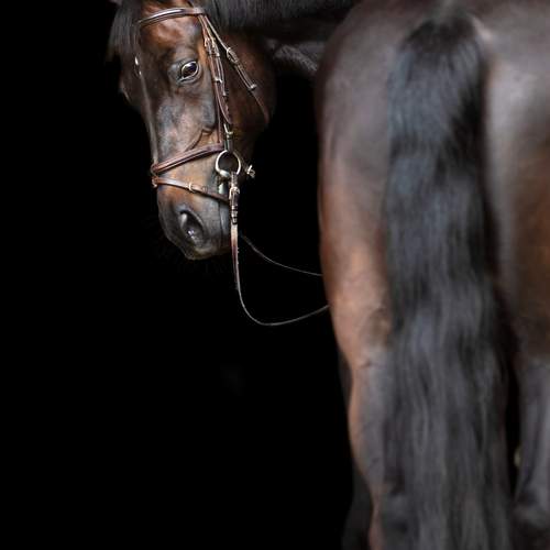 Фотография #12496412