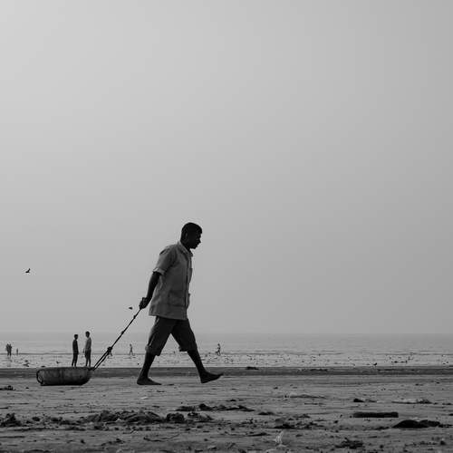 Photo #12496418