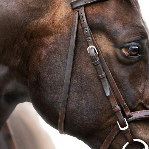 Фотография #12496427