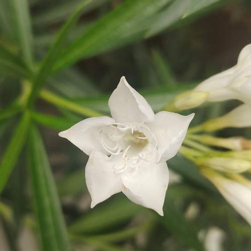 Photo #12496435
